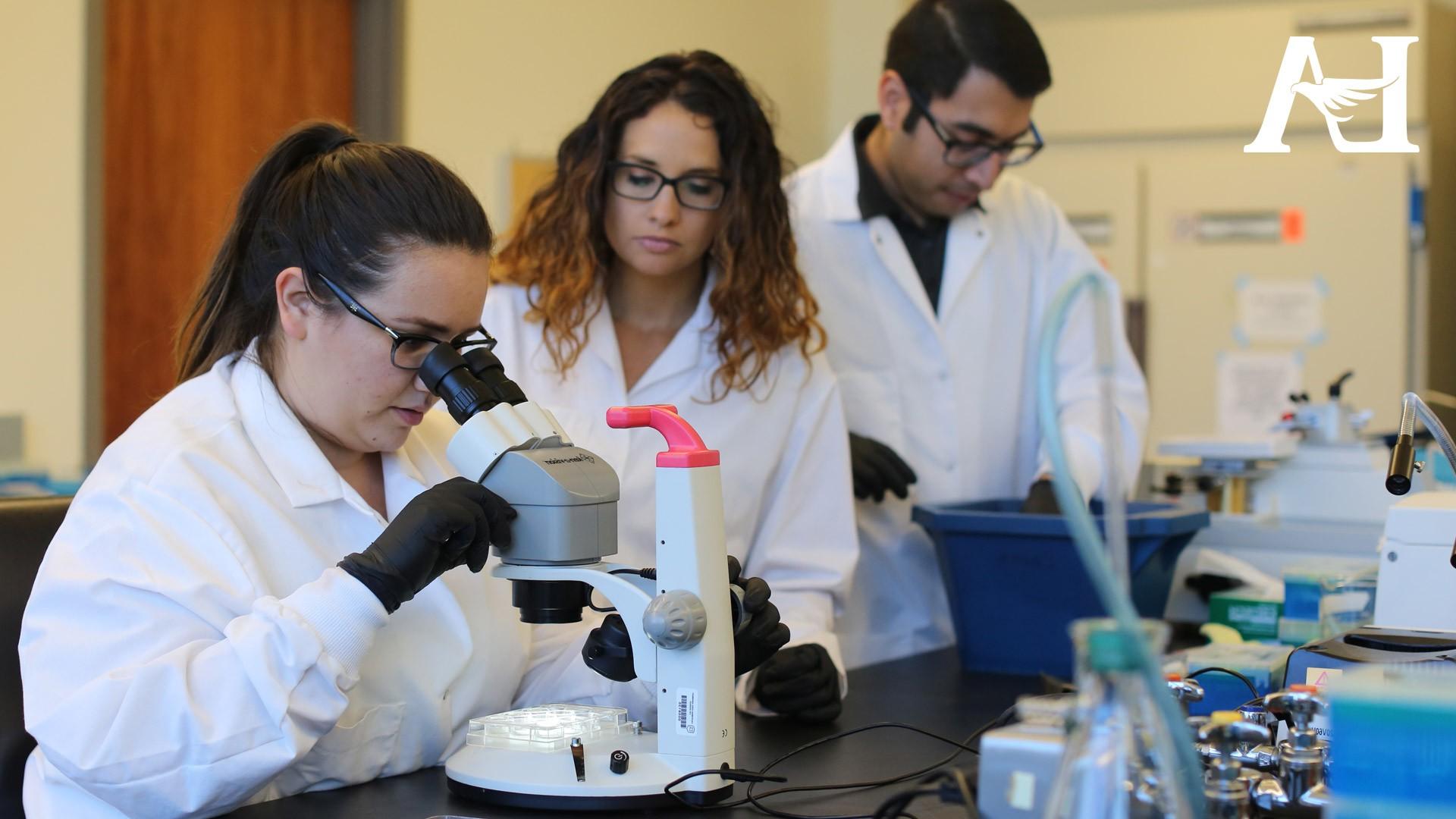 Students working together in a laboratory.